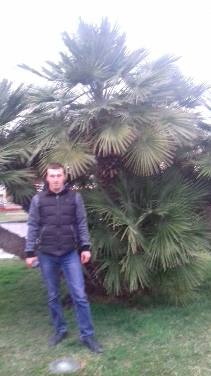 ���� 12165205 ������� �����, 33 ����, ���� ���������� � ����������