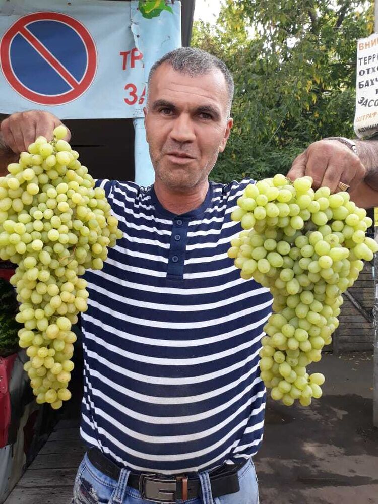 ���� 22770365 ������� ������, 47 ���, ���� ���������� � �������