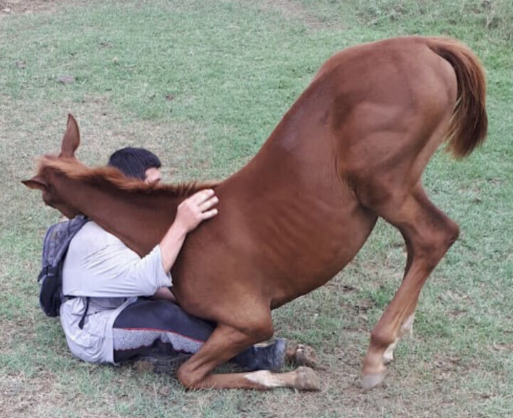 ���������� ���������, ���� ������� ����, 40 ���, ������������ ��� ������, ����� � ���������