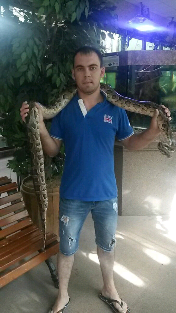 ���� 15996525 ������� �����, 36 ���, ���� ���������� � ������