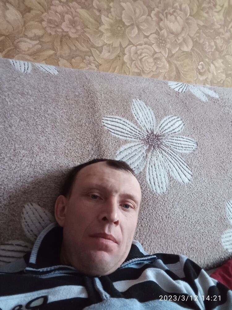  33441505  , 40 ,    