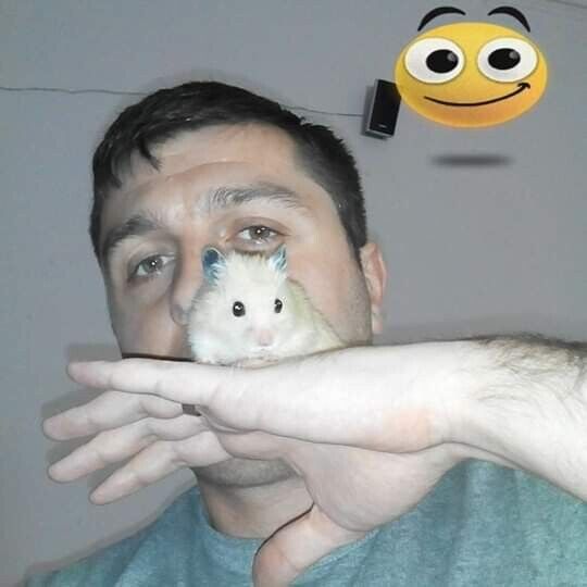  ,   Giorgi, 34 ,   ,   , c 