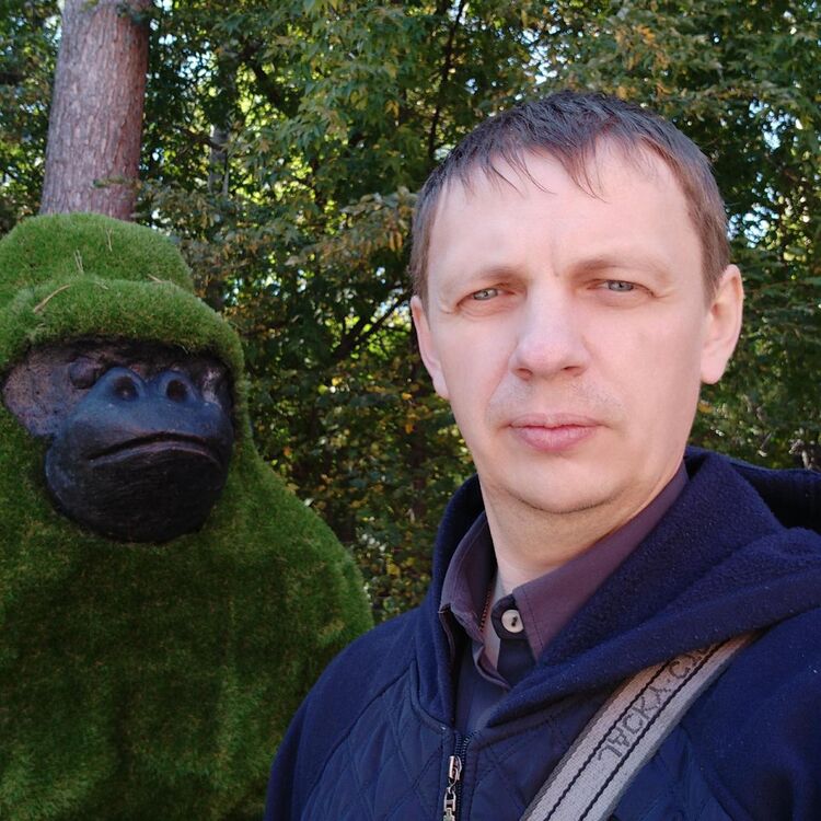  16492705  Sicvest, 45 ,    