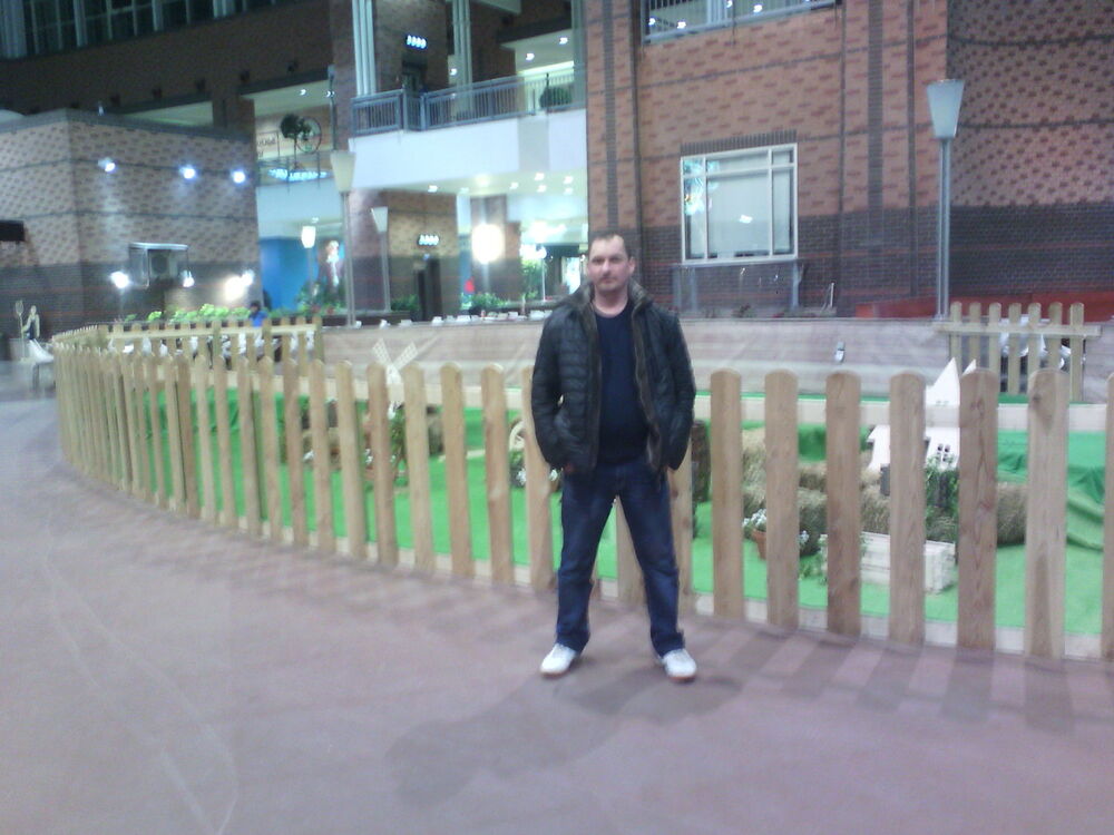 ���� 8113655 ������� �������, 38 ���, ���� ���������� � ������