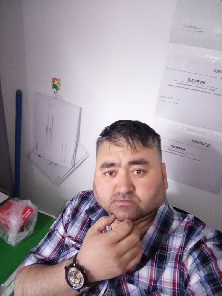  43350335  , 37 ,    