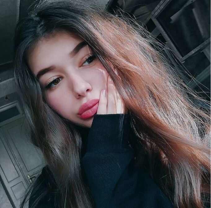  43102655  , 24 ,    
