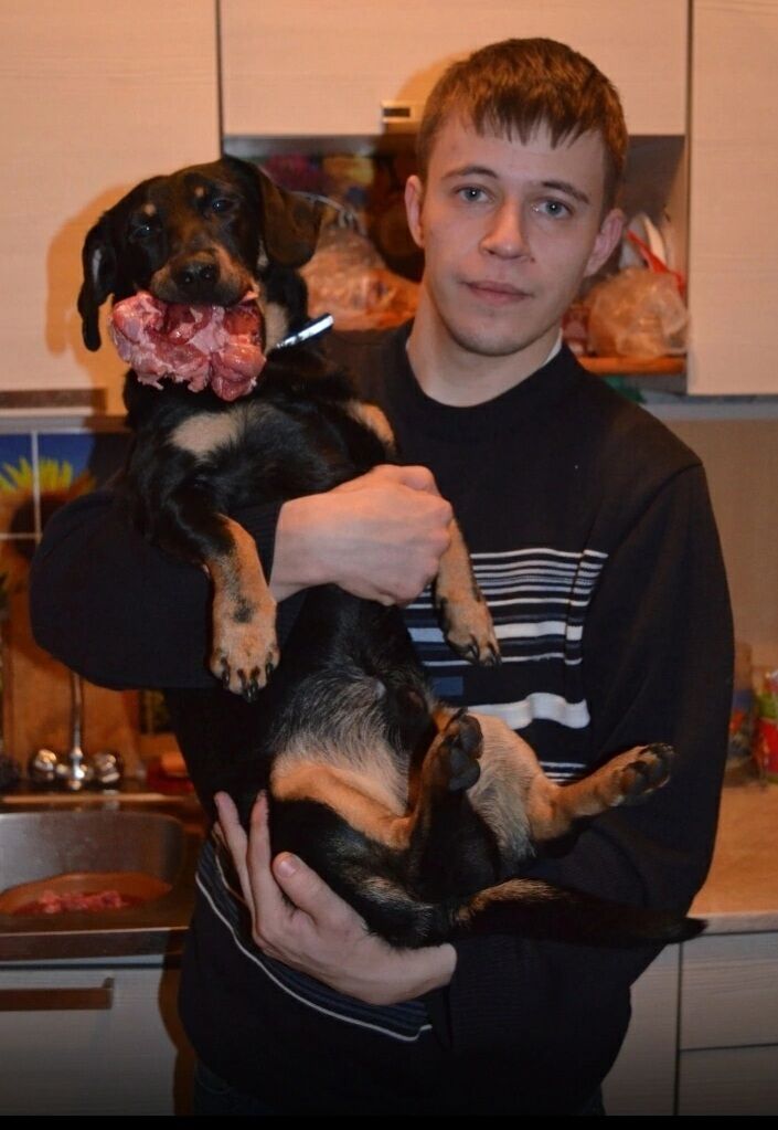 ���� 50186745 ������� �������, 37 ���, ���� ���������� � ���������