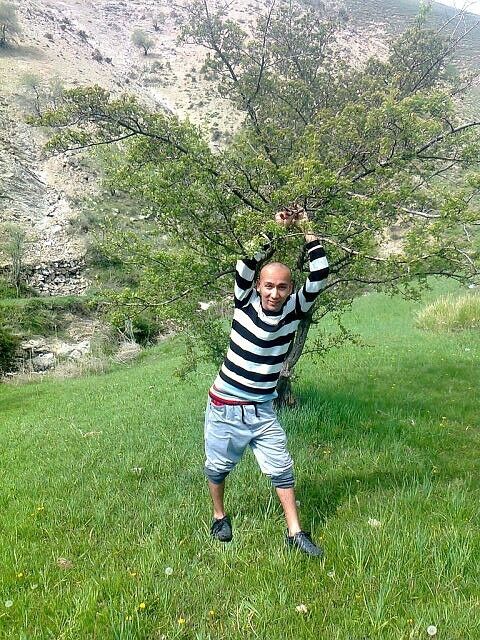 ���������� �����, ���� ������� ������, 33 ����, ������������ ��� ������, ����� � ���������, c�������� ���������, ���������