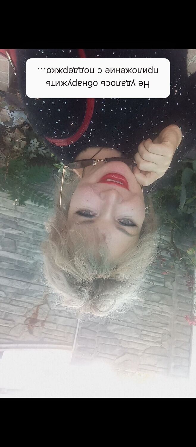  53799155  , 38 ,    