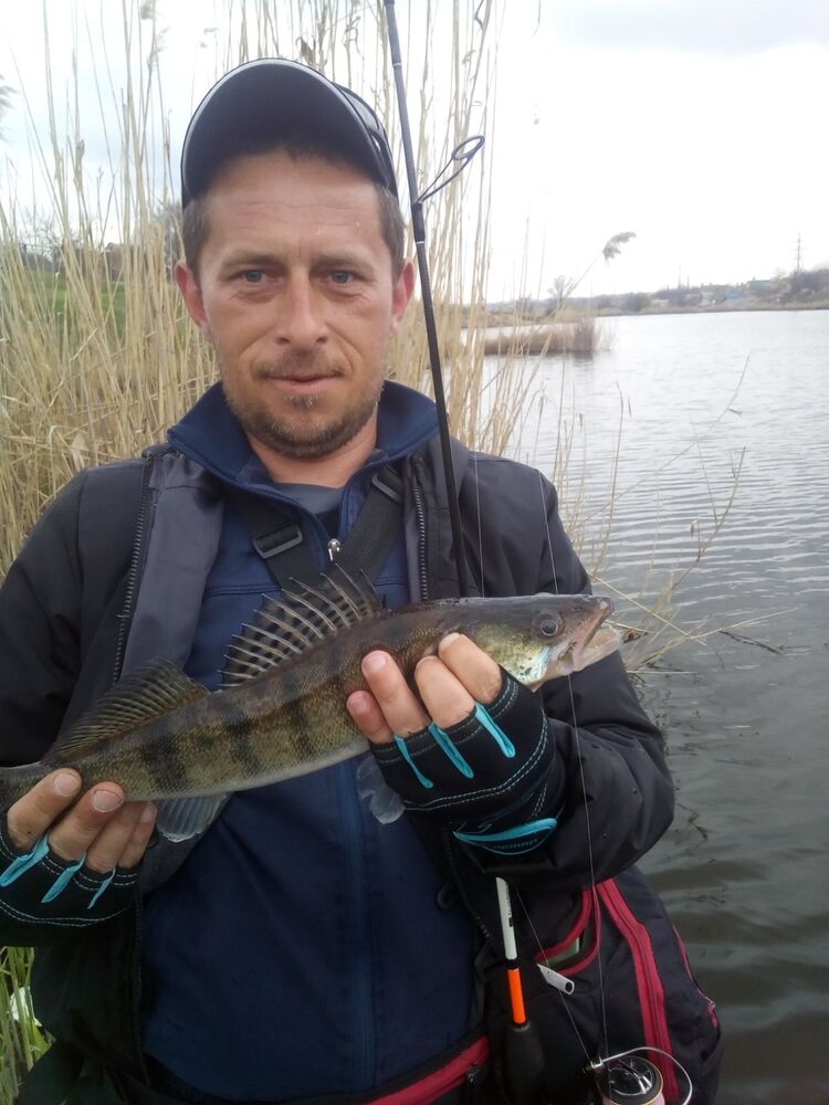 ���� 23033195 ������� ����, 41 ���, ���� ���������� � ���������