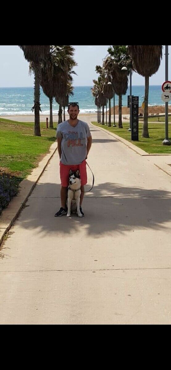 ���������� �������, ���� ������� ����, 38 ���, ������������ ��� ������, ����� � ���������, c�������� ���������, ���������