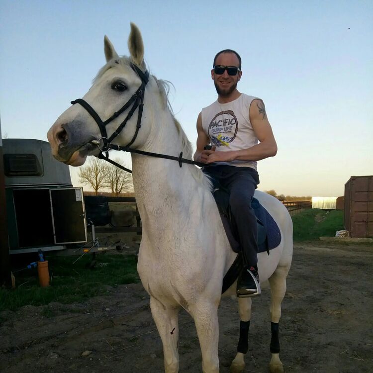  33094085  , 34 ,    