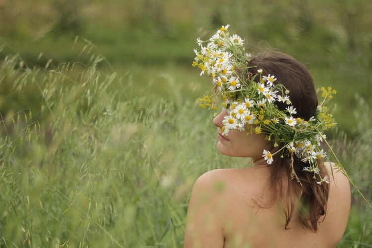 ���������� ������������, ���� ������� �������, 33 ����, ������������ ��� ������, ����� � ���������, c�������� ���������