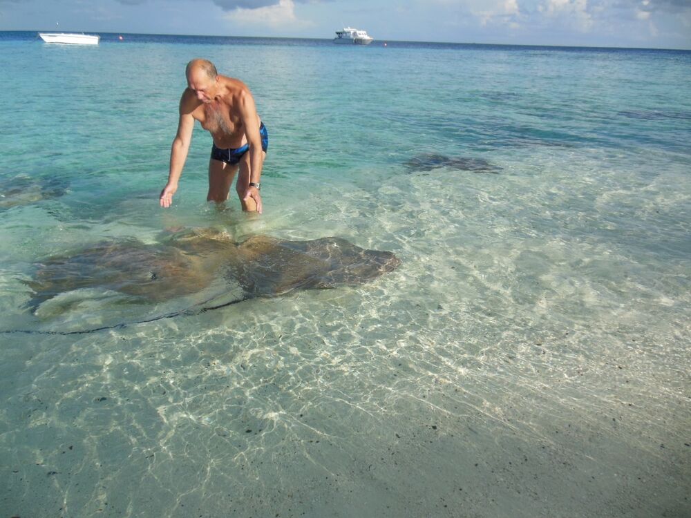 ���������� ������, ���� ������� ����� ������, 77 ���, ������������ ��� ����� � ���������, c�������� ���������