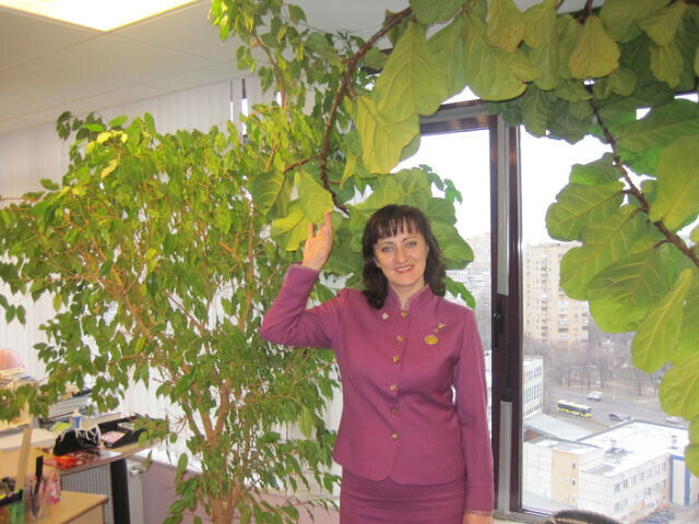 ���� 20472185 ������� �������, 53 ����, ���� ���������� � ������