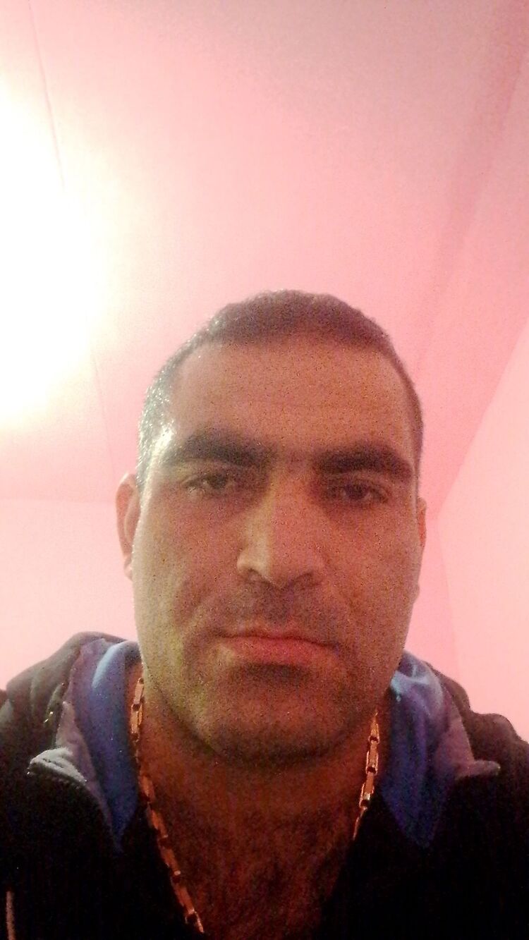  41587895  , 37 ,    