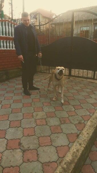 ���� 12373795 ������� ��������, 32 ����, ���� ���������� � ��������