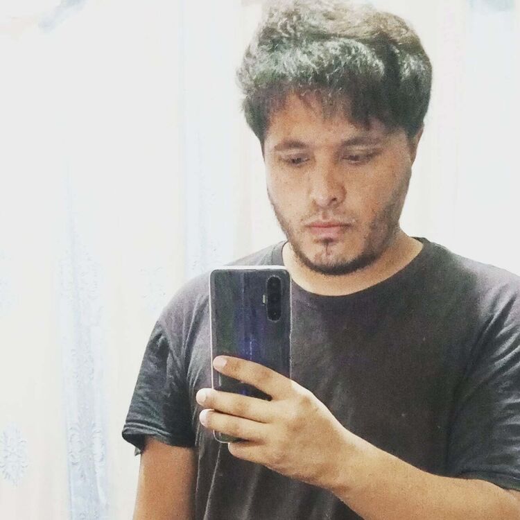  39176185  , 31 ,    