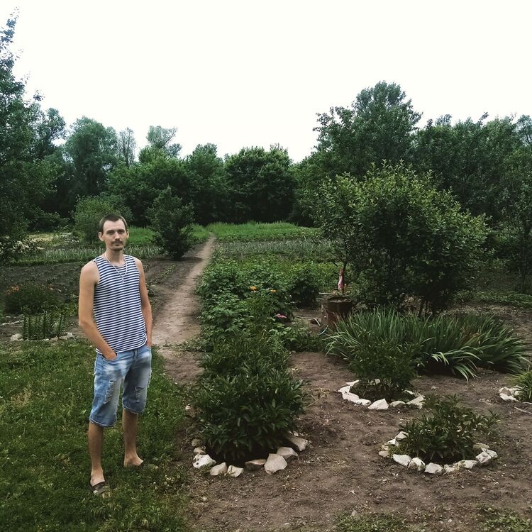 ���� 20266615 ������� ������, 34 ����, ���� ���������� � �������-��-����