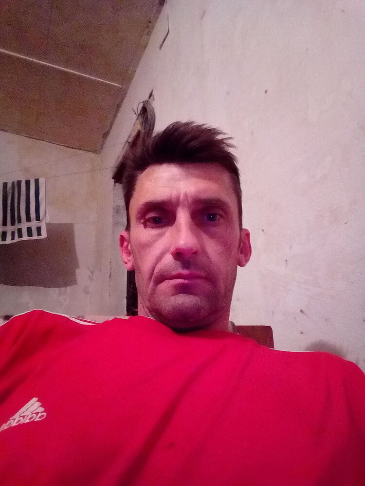 ���� 24508485 ������� �������, 50 ���, ���� ���������� � ��������