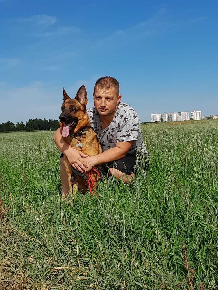 ���������� ����������, ���� ������� ������, 36 ���, ������������ ��� ������, ����� � ���������, c�������� ���������, ���������