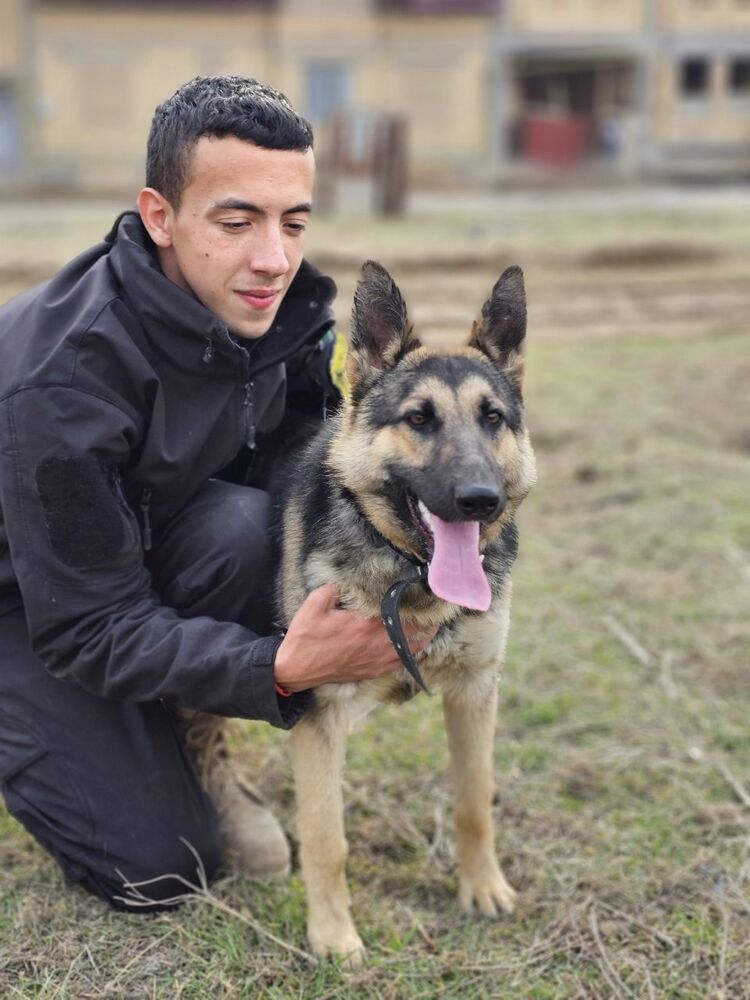 ���� 41937945 ����� �������, 22 ����, ���� ���������� � ��������