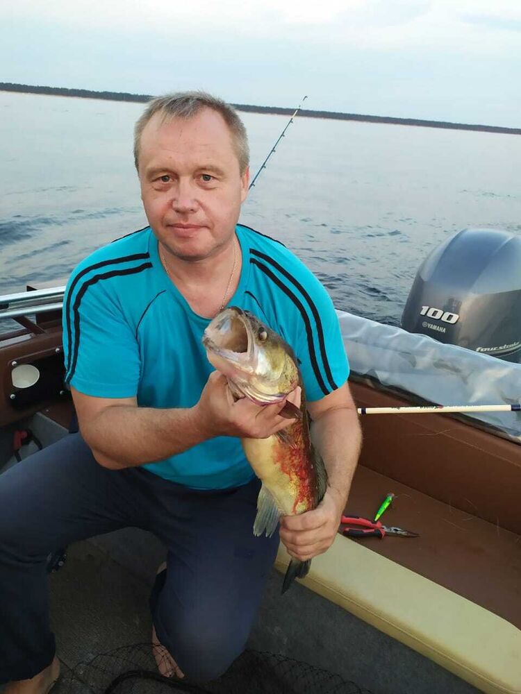  -,   , 50 ,   ,   