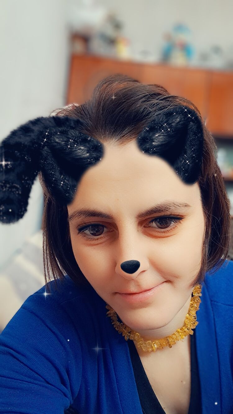  50785465  , 24 ,    