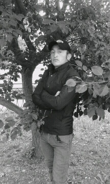  38476495  , 34 ,    