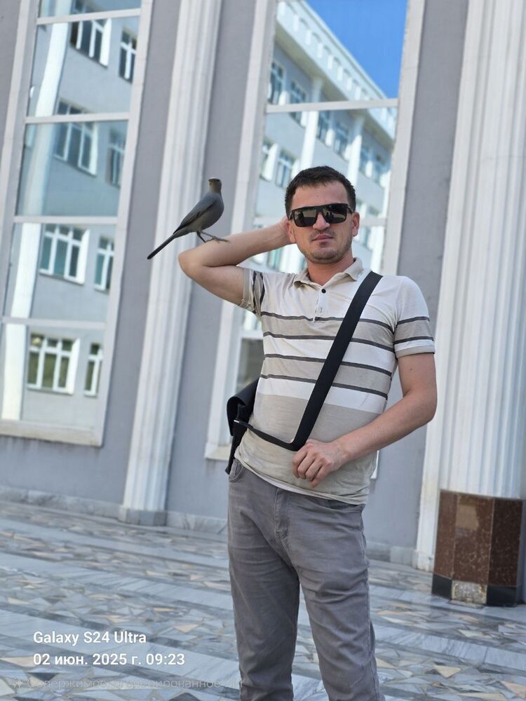  ,   Bayramali, 28 ,   ,   