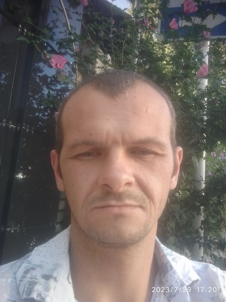  36426145  , 37 ,    