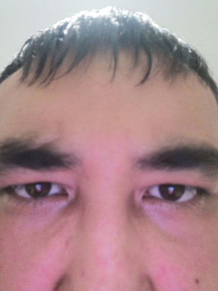  36606235   , 40 ,    