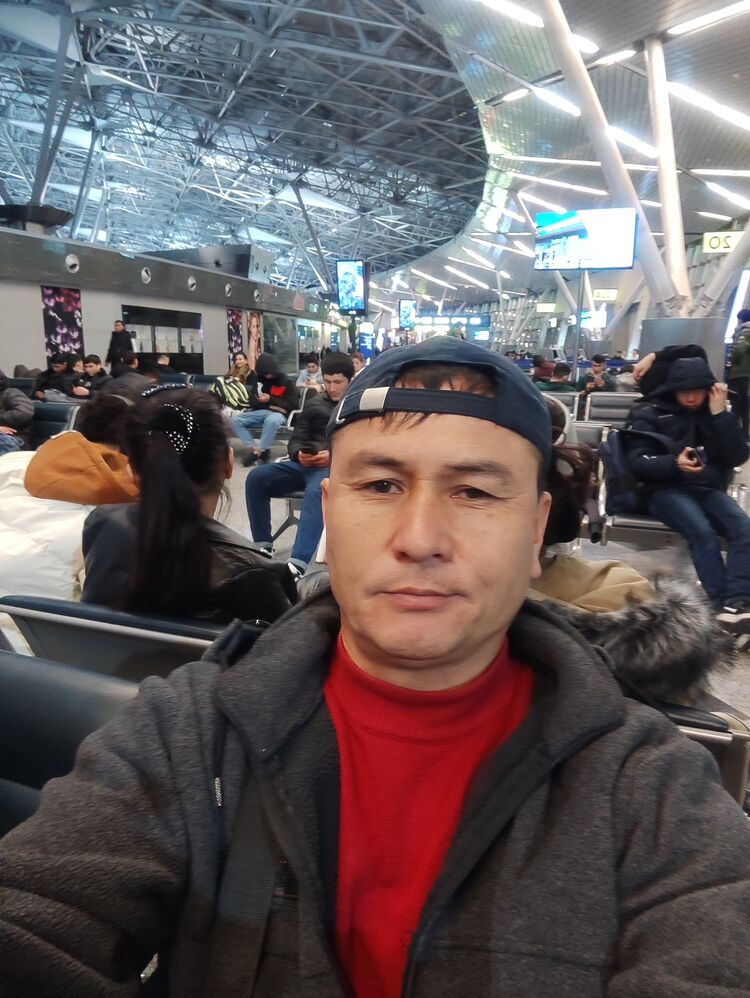 ���� 41378425 ������� ����������, 46 ���, ���� ���������� � ������