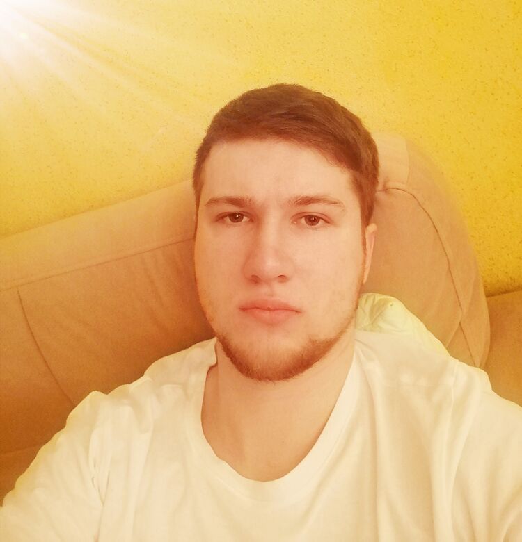  31355245  , 28 ,    