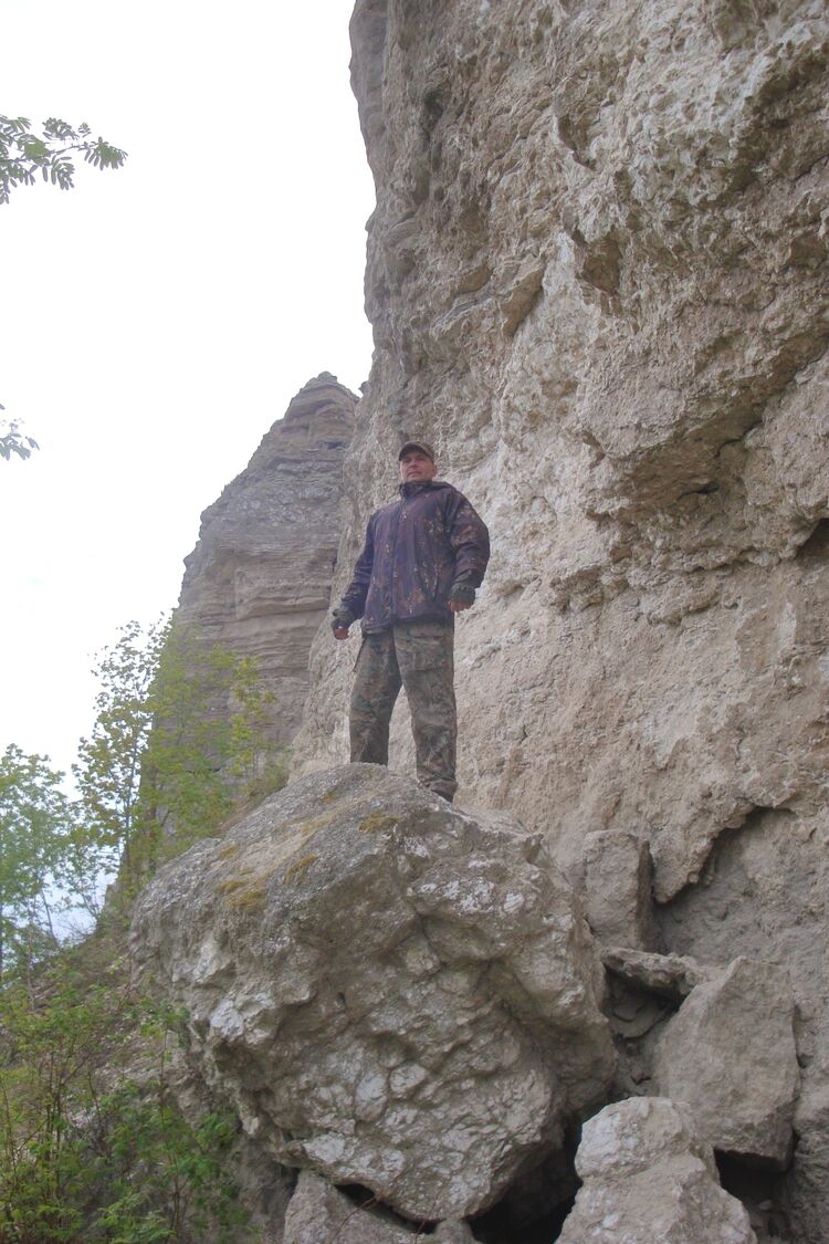  ,   , 50 ,   ,   , 