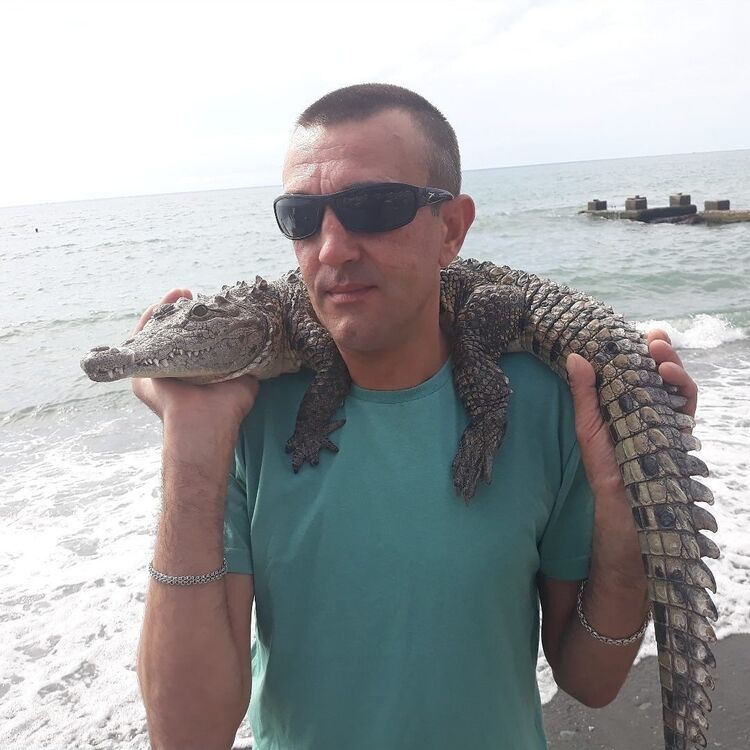 ���� 56009435 ������� �������, 46 ���, ���� ���������� � �������-��-����