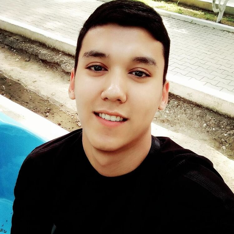 ���� 17538445 ����� �����, 24 ����, ���� ���������� � ��������