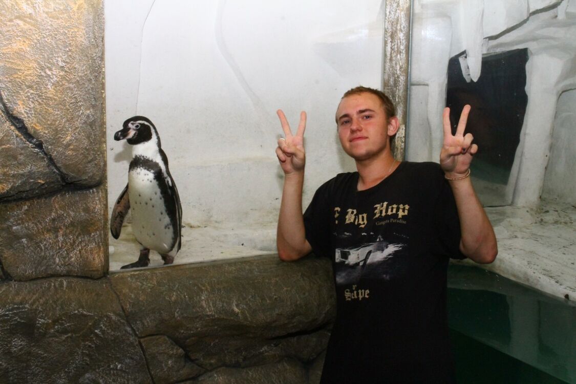 ���� 28533315 ����� ������, 23 ����, ���� ���������� � ����������