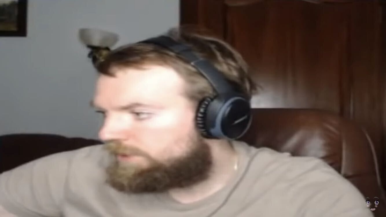 ���������� ����, ���� ����� ����, 25 ���, ������������ ��� ������, ����� � ���������