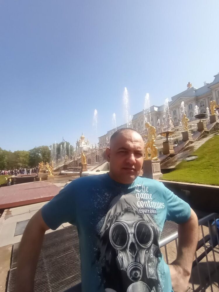  43464975  , 46 ,    -