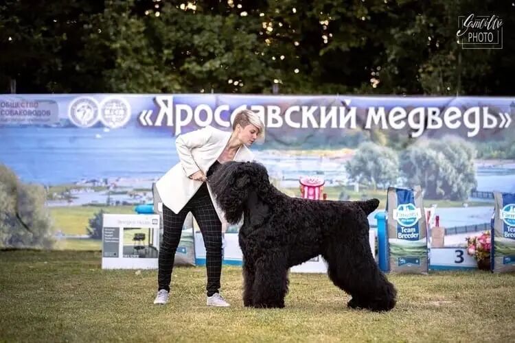  33429035  Polina, 25 ,    