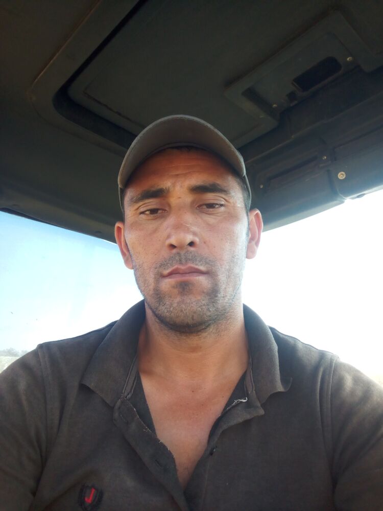 ���� 36990895 ������� ������, 38 ���, ���� ���������� � ��������