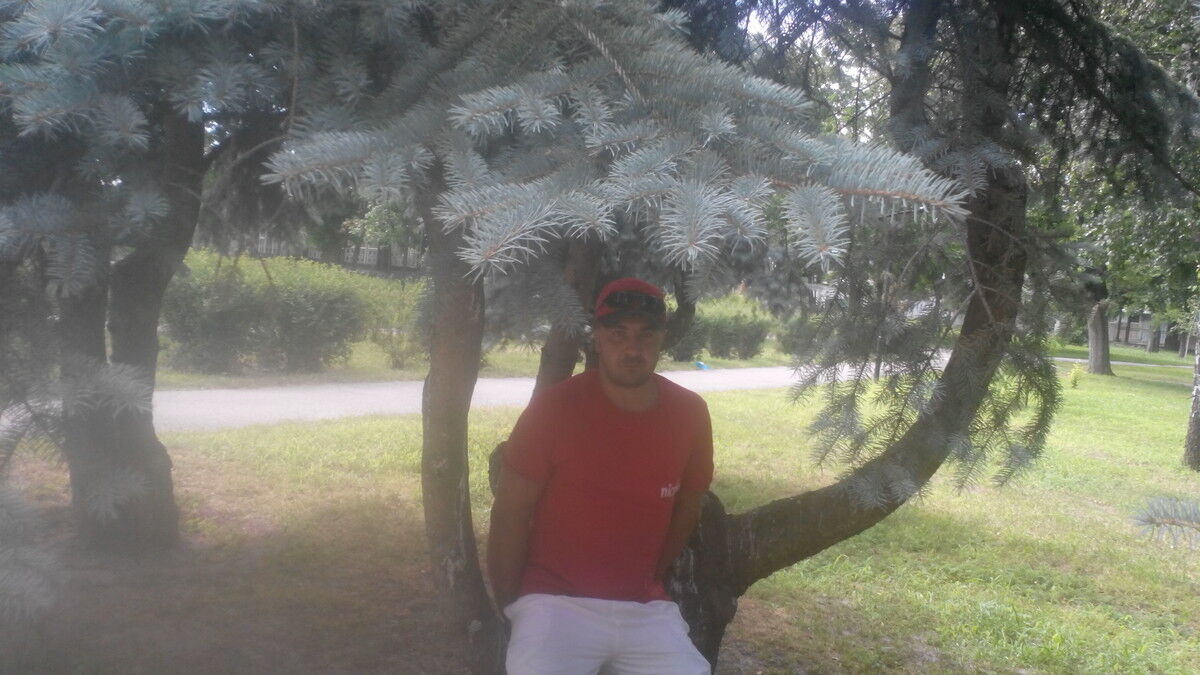 ���� 16645135 ������� ����, 37 ���, ���� ���������� � ����������