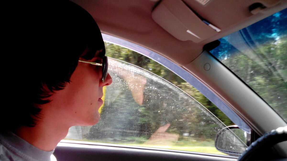 ���������� �������, ���� ������� �������, 31 ���, ������������ ��� ������, ����� � ���������, c�������� ���������