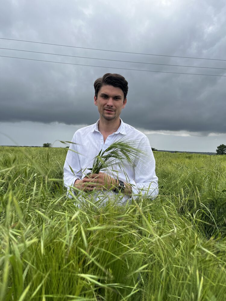 ���� 55242625 ������� �������, 30 ���, ���� ���������� � ����������