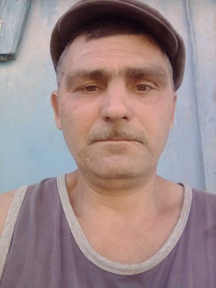  23346155  , 44 ,    