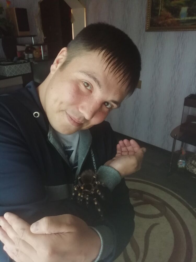  45260875  Anton, 38 ,    