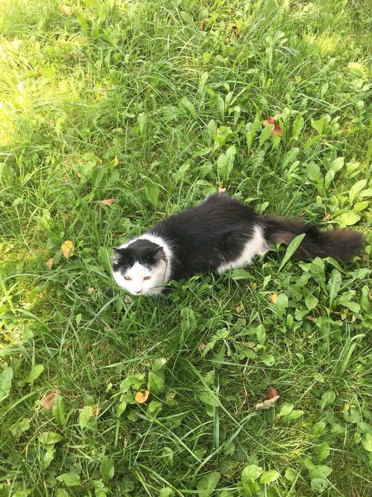 ���� 13104195 ������� �����, 35 ���, ���� ���������� � ��������