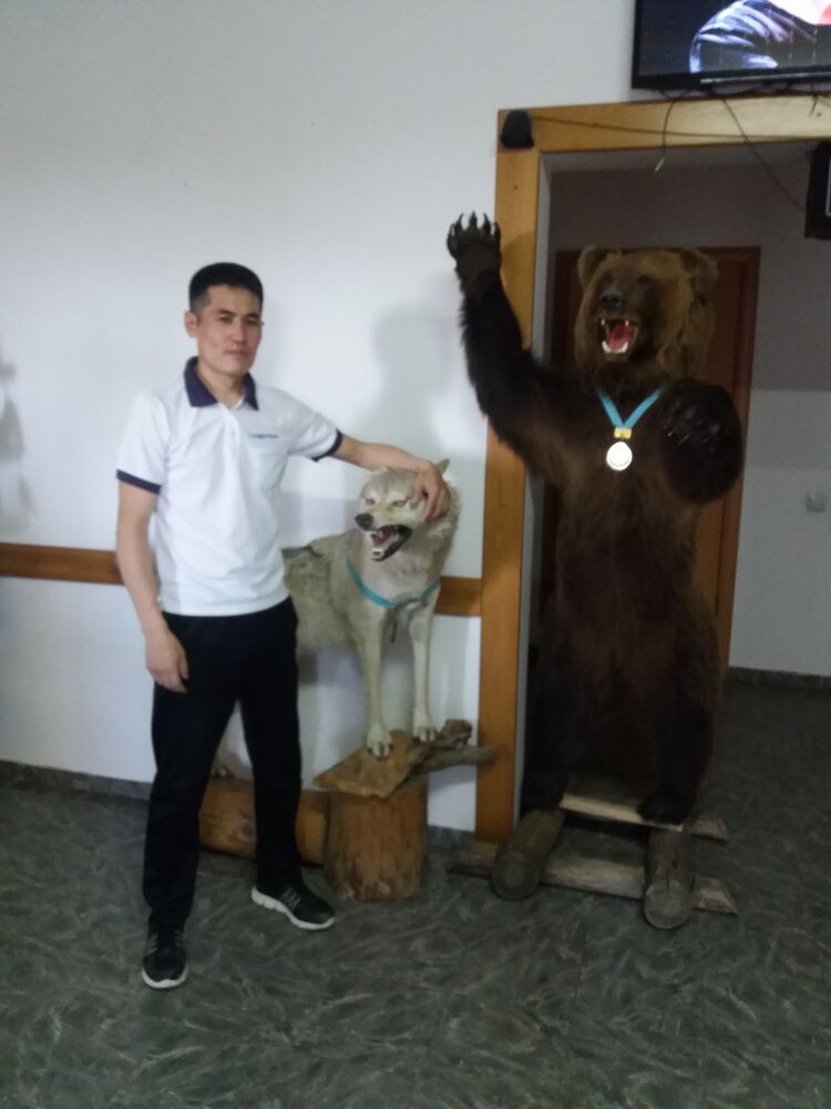 ���������� ������, ���� ������� Nurlan, 34 ����, ������������ ��� ����� � ���������, c�������� ���������, ���������