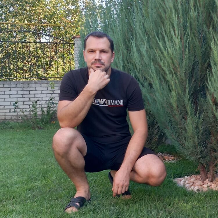  38153695  , 43 ,    